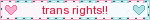 Blinkie for the support of Trans Rights